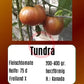 Tundra DER TOMATENFLÜSTERER