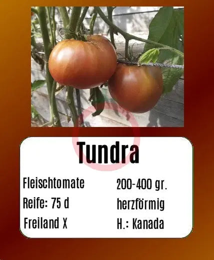 Tundra DER TOMATENFLÜSTERER