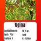 Ugina DER TOMATENFLÜSTERER