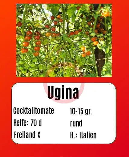 Ugina DER TOMATENFLÜSTERER