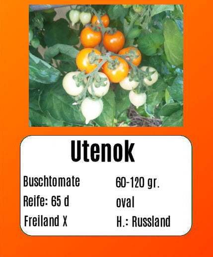 Utenok DER TOMATENFLÜSTERER