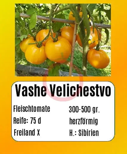 Vashe Velichestvo DER TOMATENFLÜSTERER