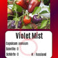 Violet Mist DER TOMATENFLÜSTERER