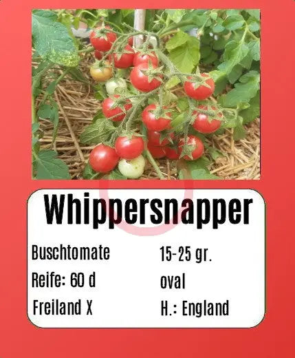 Whippersnapper DER TOMATENFLÜSTERER