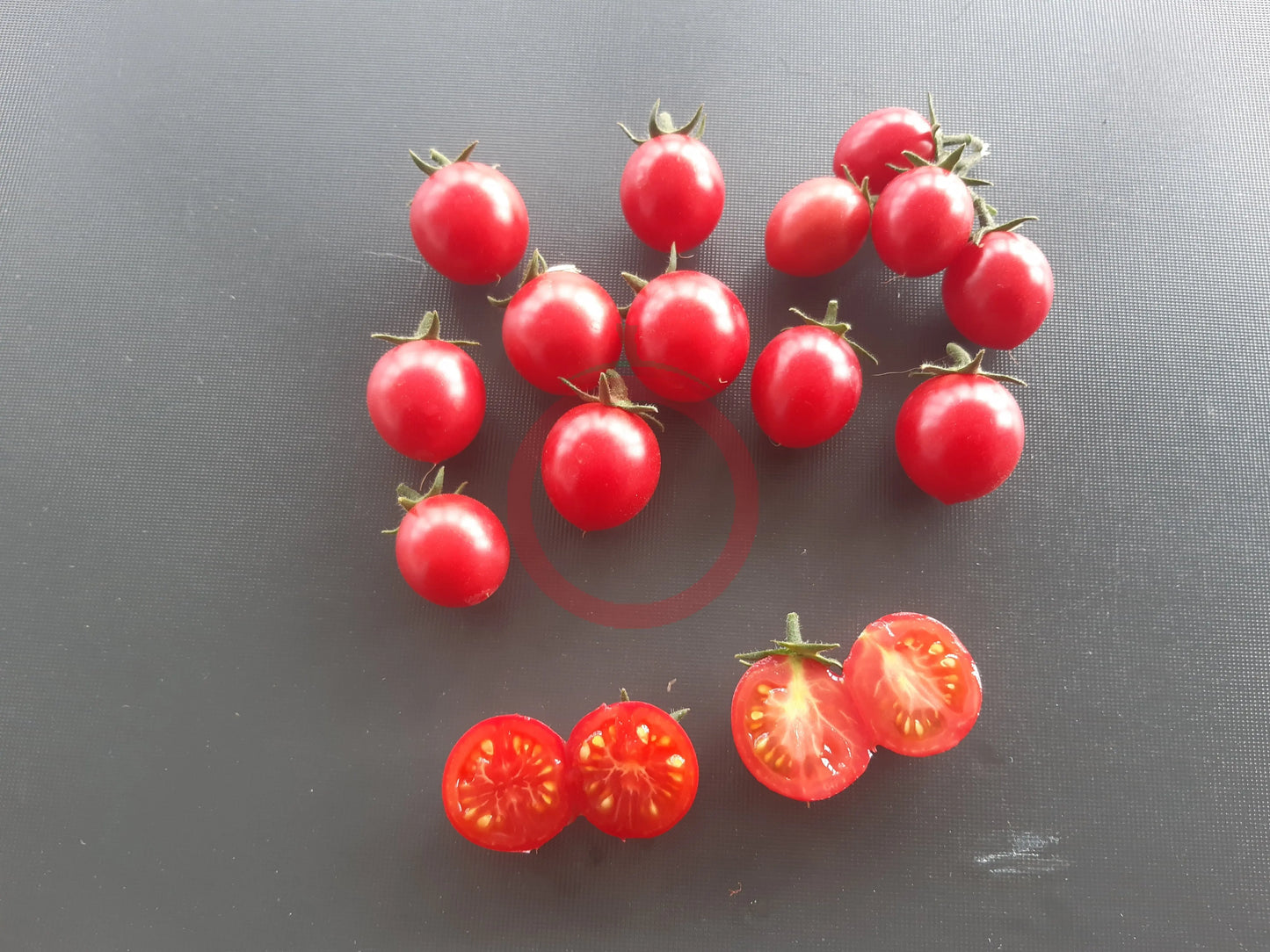 Whippersnapper DER TOMATENFLÜSTERER