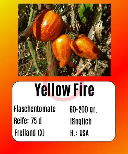 Yellow Fire DER TOMATENFLÜSTERER