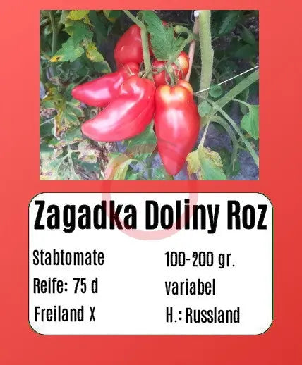 Zagadka Doliny Roz DER TOMATENFLÜSTERER