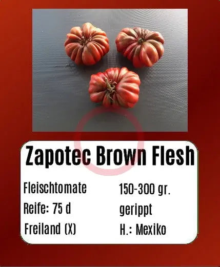 Zapotec Brown Flesh DER TOMATENFLÜSTERER