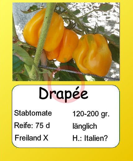 Drapeé DER TOMATENFLÜSTERER