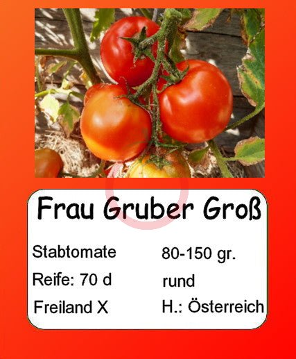 Frau Gruber Groß DER TOMATENFLÜSTERER