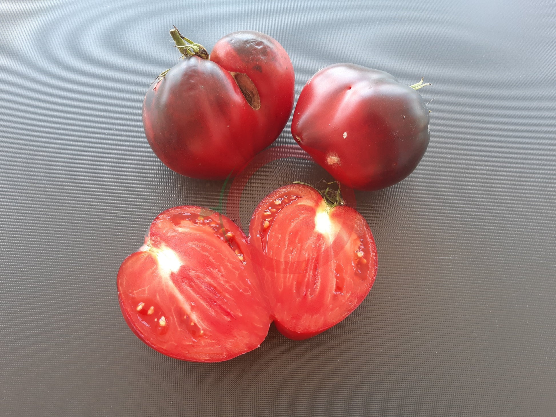 Kas/21 Typ 1 DER TOMATENFLÜSTERER