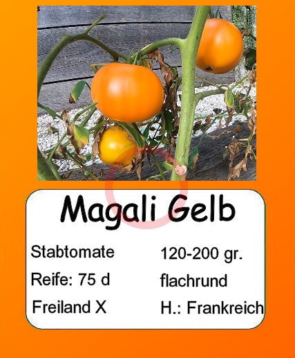 Magali Gelb DER TOMATENFLÜSTERER