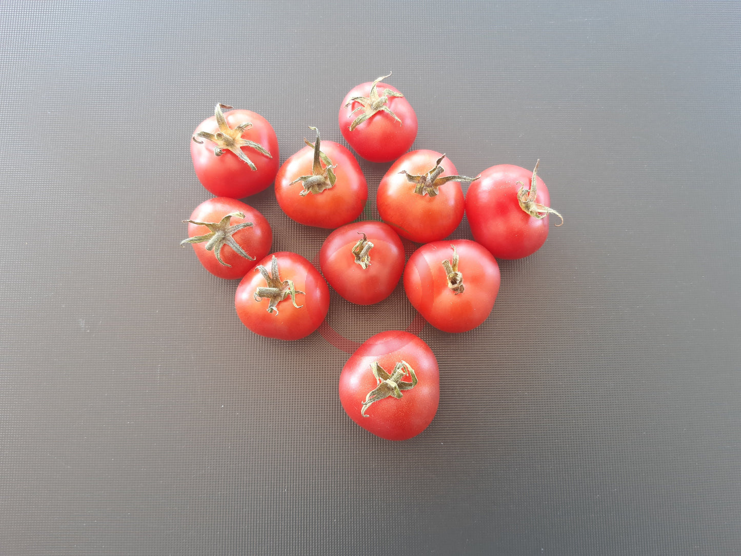 Napa Rosé DER TOMATENFLÜSTERER