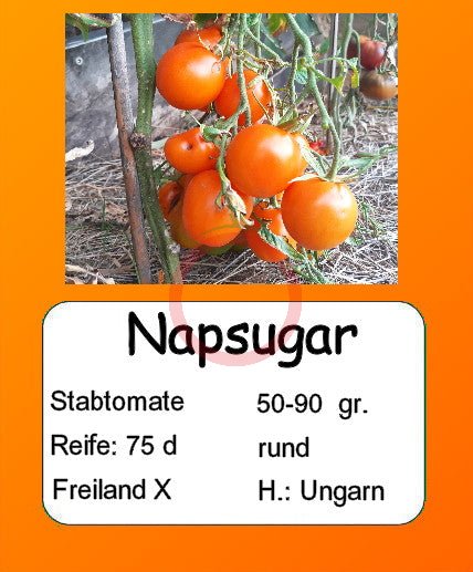 Napsugar DER TOMATENFLÜSTERER