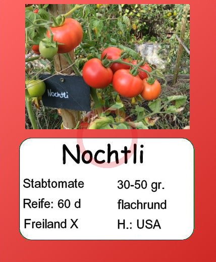 Nochtli DER TOMATENFLÜSTERER