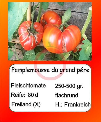 Pamplemousse du grand pére DER TOMATENFLÜSTERER