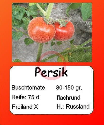 Persik DER TOMATENFLÜSTERER