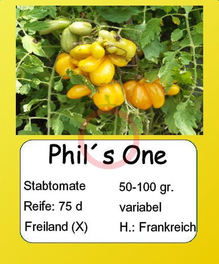 Phil´s One DER TOMATENFLÜSTERER