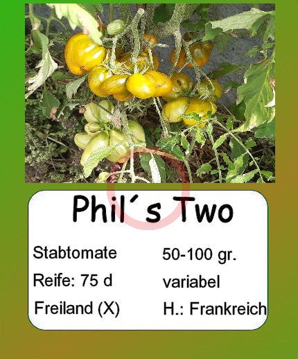 Phil´s Two DER TOMATENFLÜSTERER