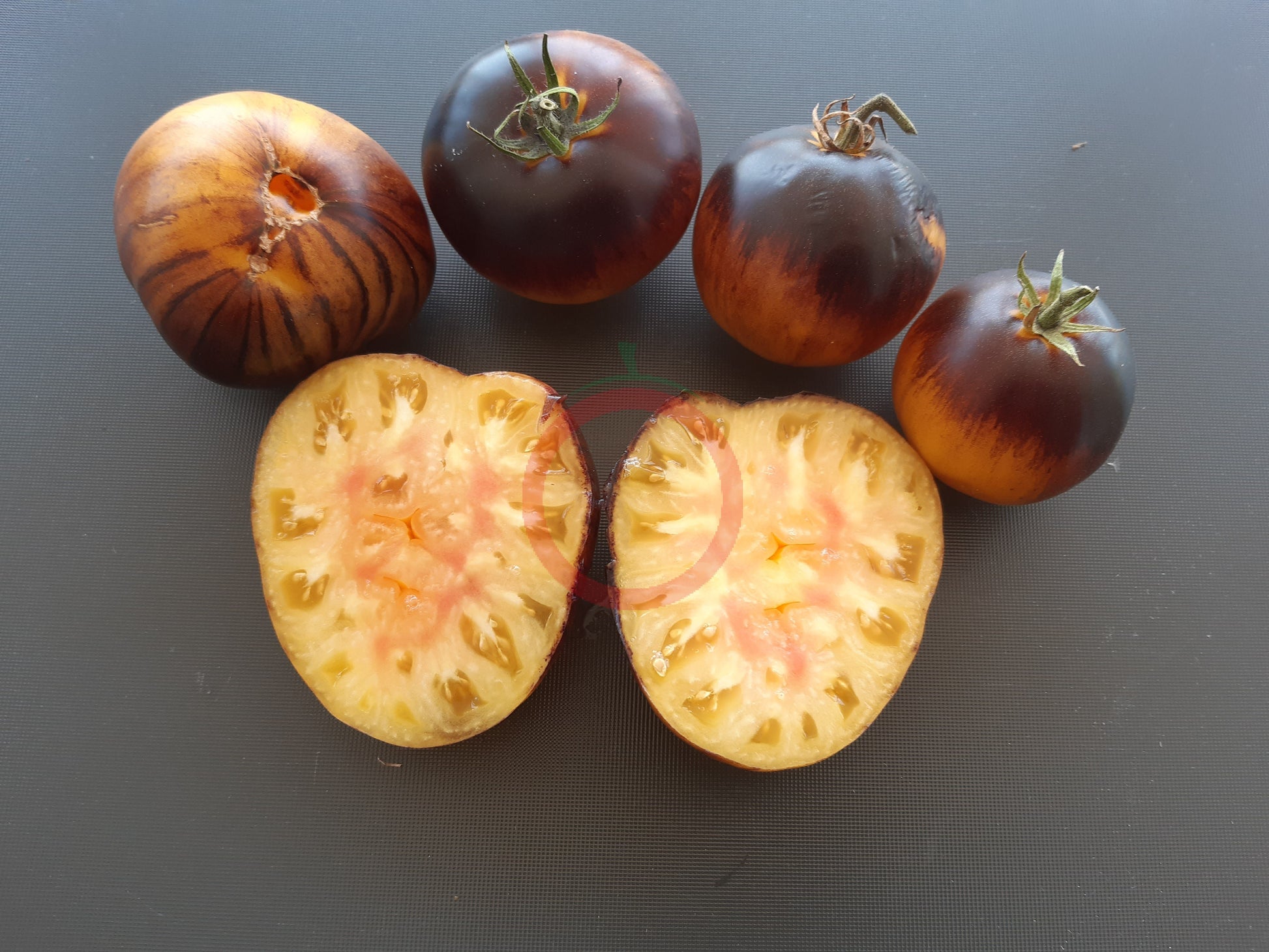 Purple Sunrise DER TOMATENFLÜSTERER