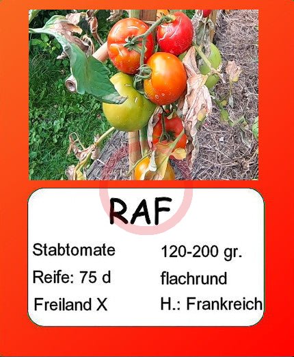 RAF DER TOMATENFLÜSTERER