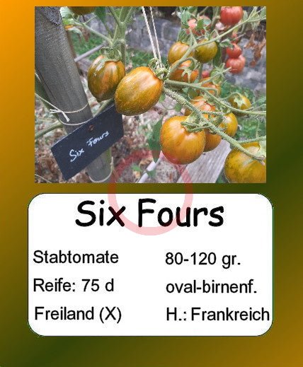 Six Fours DER TOMATENFLÜSTERER