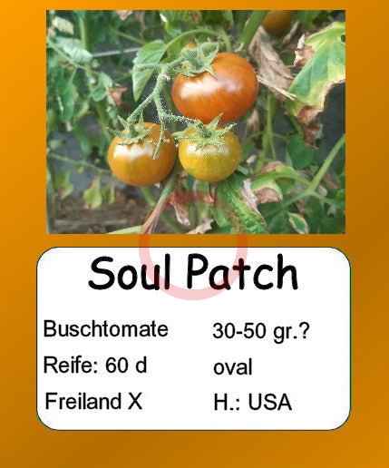 Soul Patch DER TOMATENFLÜSTERER